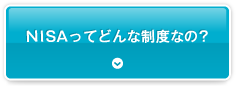 NISAってどんな制度なの